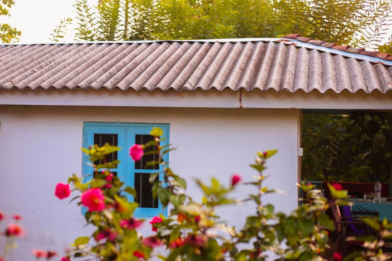 Tehan Homestay Dickwella Exterior photo